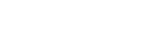Desantis logo